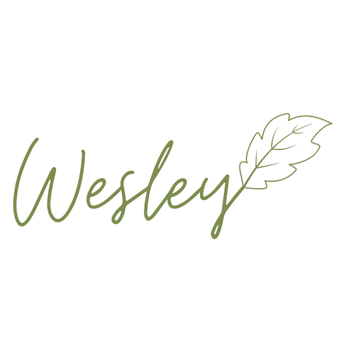 Wesley Logo variante 1